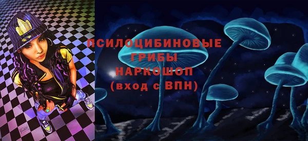 эйфоретик Алексин