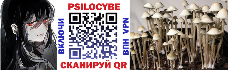 цена   Лысково  omg ссылки  Псилоцибиновые грибы мицелий 
